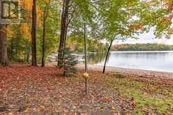 305 SALMON LAKE ROAD | Seguin Ontario | Slide Image Forty-one