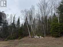PT LT 11 CON 9 NIMIGON LANE | Haliburton Ontario | Slide Image Six