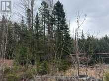PT LT 11 CON 9 NIMIGON LANE | Haliburton Ontario | Slide Image Seven