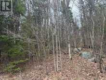 PT LT 11 CON 9 NIMIGON LANE | Haliburton Ontario | Slide Image Eight