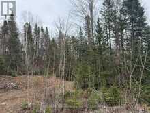 PT LT 11 CON 9 NIMIGON LANE | Haliburton Ontario | Slide Image Nine