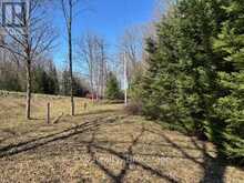 PT LT 21 GREY ROAD 12 ROAD | Durham Ontario | Slide Image Two