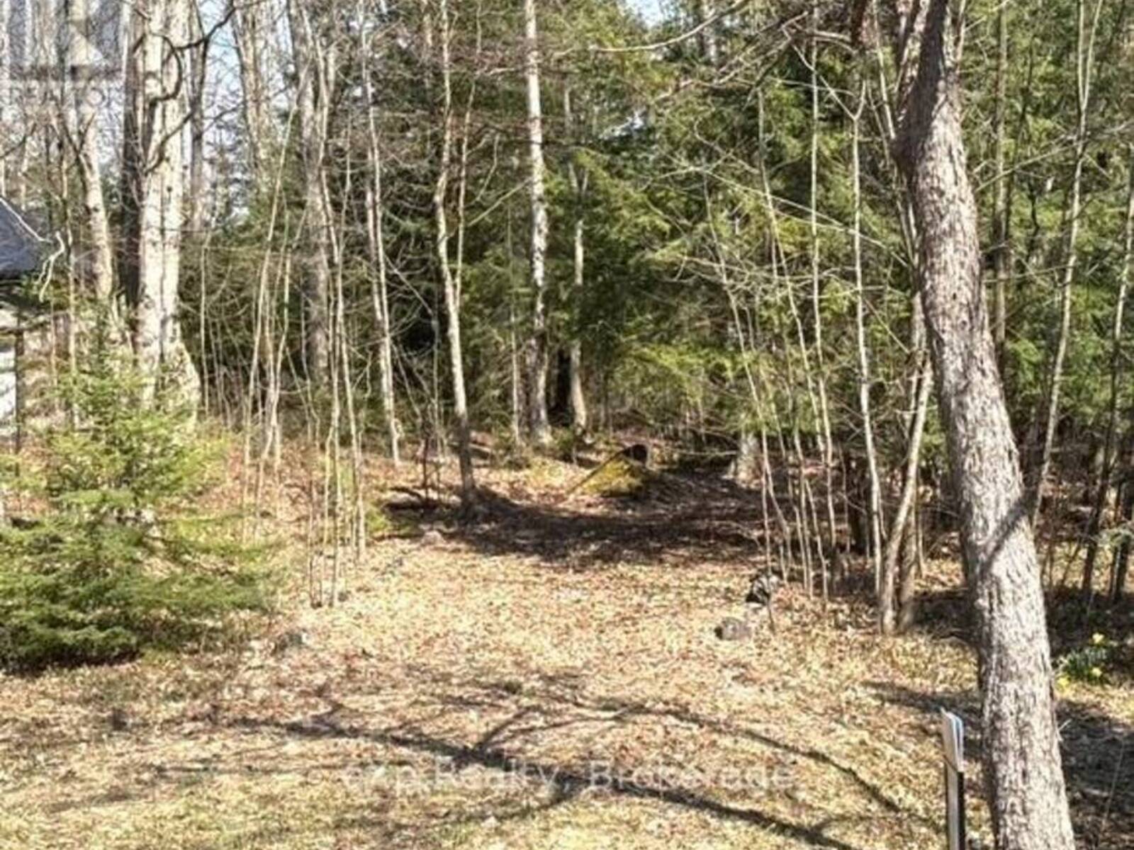 PT LT 21 GREY ROAD 12 ROAD, Durham, Ontario N0G 1R0