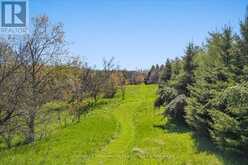 717218 1ST LINE E | Mulmur Ontario | Slide Image Forty-six
