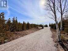 73 FOX TRAIL | Lion's Head Ontario | Slide Image Four