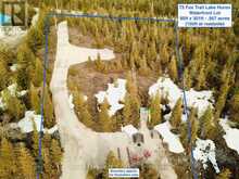 73 FOX TRAIL | Lion's Head Ontario | Slide Image Seven