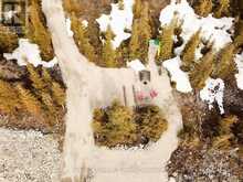 73 FOX TRAIL | Lion's Head Ontario | Slide Image Nine