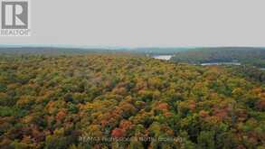 00 SOUTH HORN LAKE ROAD | Magnetawan Ontario | Slide Image Eight