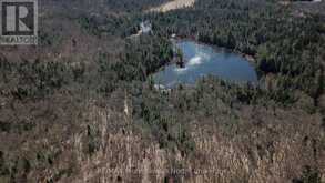 00 SOUTH HORN LAKE ROAD | Magnetawan Ontario | Slide Image One