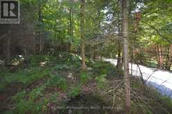 0 FRED JONES ROAD | Haliburton Ontario | Slide Image Twelve