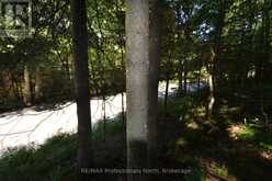 0 FRED JONES ROAD | Haliburton Ontario | Slide Image Fourteen