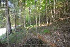 0 FRED JONES ROAD | Haliburton Ontario | Slide Image Fifteen