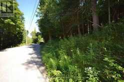 0 FRED JONES ROAD | Haliburton Ontario | Slide Image Nineteen