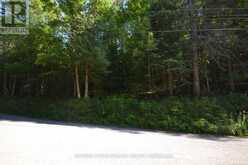 0 FRED JONES ROAD | Haliburton Ontario | Slide Image Twenty