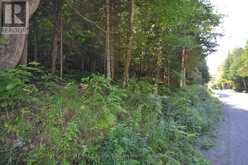 0 FRED JONES ROAD | Haliburton Ontario | Slide Image Nine