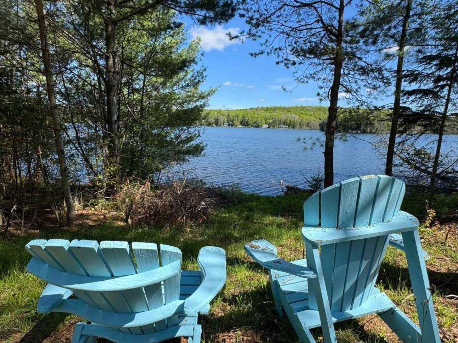 15180 HIGHWAY 118 HIGHWAY, Haliburton, Ontario K0M 1S0