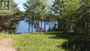 15180 HIGHWAY 118 HIGHWAY | Haliburton Ontario | Slide Image Two