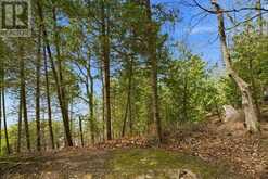 LOT 7 - 74515 WOODLAND DRIVE | Bayfield Ontario | Slide Image Eight
