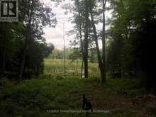 1645 SOUTH LAKE ROAD | Minden Hills Ontario | Slide Image Nine