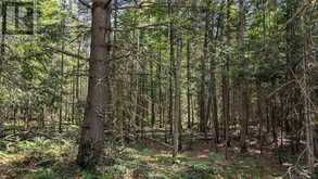 PART 2 BERRIEDALE ROAD | Magnetawan Ontario | Slide Image Three
