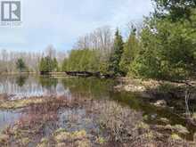 LOT 53/54 WEST BACK LINE | Chatsworth Ontario | Slide Image Five
