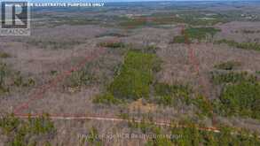 LOT 53/54 WEST BACK LINE | Chatsworth Ontario | Slide Image One