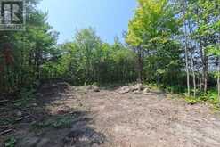 434 SOUTH BAY ROAD | Port Severn Ontario | Slide Image Sixteen