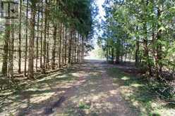 120 ANDERSON DRIVE S | West Grey Ontario | Slide Image Eleven
