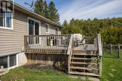 123 DOUGLAS STREET | Chatsworth Ontario | Slide Image Thirty-six