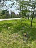 PT LT 37 CON 3 MACINTOSH DRIVE | Georgian Bluffs Ontario | Slide Image Thirteen
