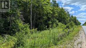 PART 2 BERRIEDALE ROAD | Magnetawan Ontario | Slide Image Three
