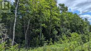 PART 2 BERRIEDALE ROAD | Magnetawan Ontario | Slide Image Four