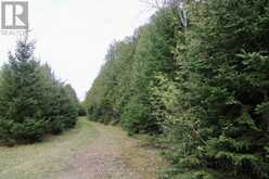 PART OF LT 59 CONCESSION 2 SDR | Hanover Ontario | Slide Image Seven