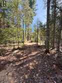 1819 MACHAR STRONG BOUNDARY ROAD W | Sundridge Ontario | Slide Image Eleven