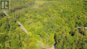 0 SOUTHWOOD ROAD | Gravenhurst Ontario | Slide Image Three
