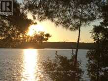 PART 2 42R21243 EDWARDS ISLAND | Parry Sound Ontario | Slide Image Ten