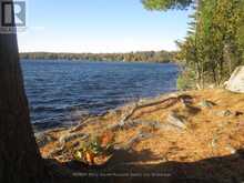 PART 2 42R21243 EDWARDS ISLAND | Parry Sound Ontario | Slide Image Two