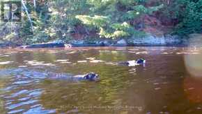 PART 2 42R21243 EDWARDS ISLAND | Parry Sound Ontario | Slide Image Seven