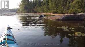 PART 2 42R21243 EDWARDS ISLAND | Parry Sound Ontario | Slide Image Eight