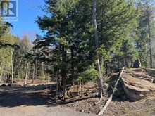 TBD LAKEVIEW STREET | Haliburton Ontario | Slide Image Five