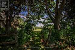 775678 HIGHWAY 10 | Chatsworth Ontario | Slide Image Nine