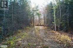 PL 20 CONCESSION 18 W | Tiny Ontario | Slide Image Four