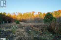 PL 20 CONCESSION 18 W | Tiny Ontario | Slide Image Six