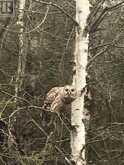 PL 20 CONCESSION 18 W | Tiny Ontario | Slide Image Seven