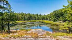 34 B320 SANS SOUCI ISLAND | The Archipelago Ontario | Slide Image Forty-three
