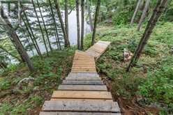 8 B686 DERBYSHIRE | The Archipelago Ontario | Slide Image Thirty-one