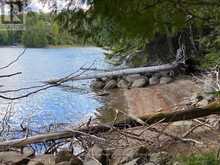 1119 WAMPUM ROAD | Haliburton Ontario | Slide Image Twenty-eight