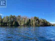 1119 WAMPUM ROAD | Haliburton Ontario | Slide Image Thirty-seven