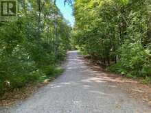1119 WAMPUM ROAD | Haliburton Ontario | Slide Image Forty-nine
