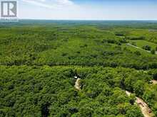 495115 GREY 2 ROAD | The Blue Mountains Ontario | Slide Image Forty-five
